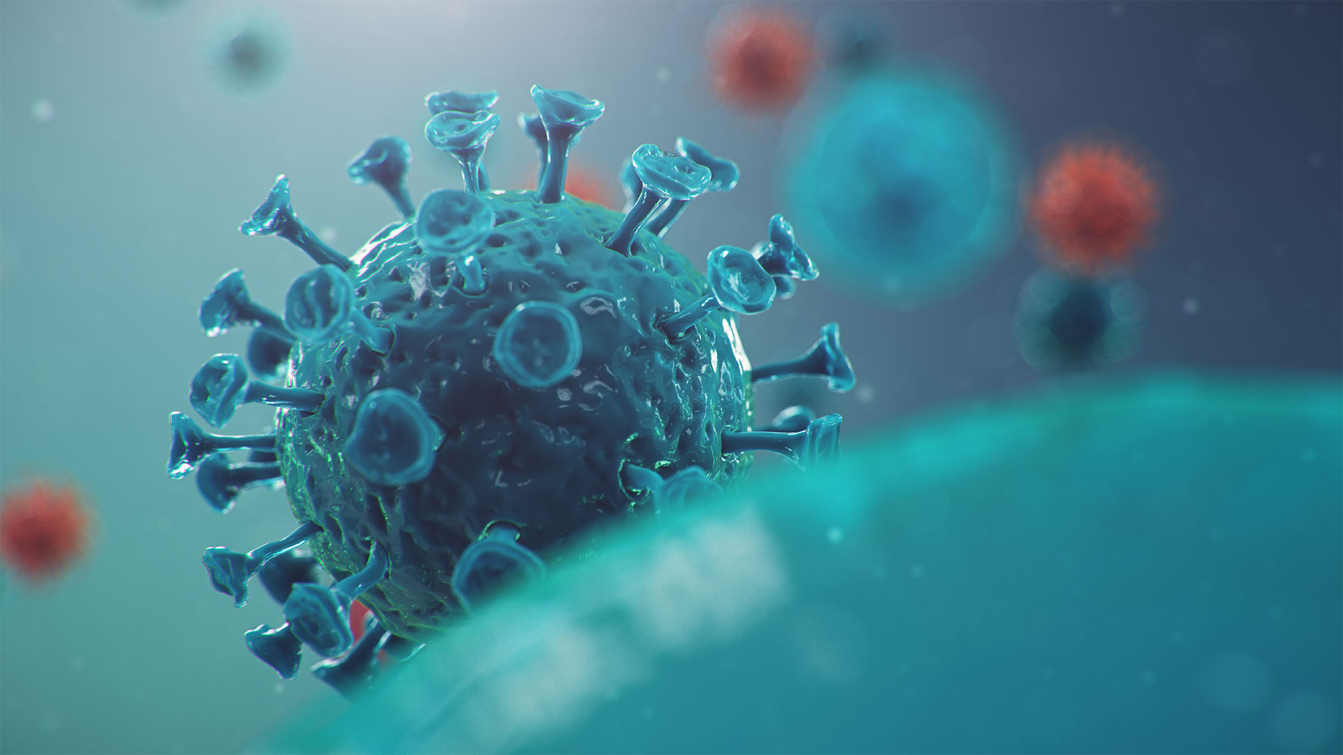 Coronavirus: ¿Alarma justificada?