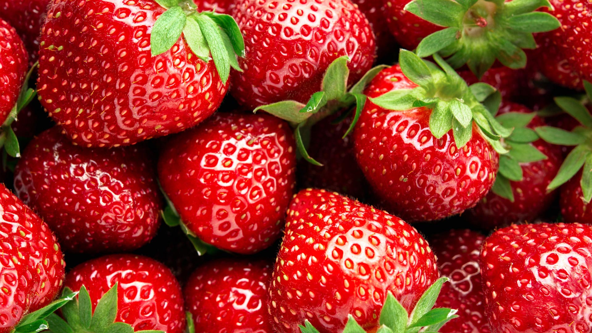 Fresas