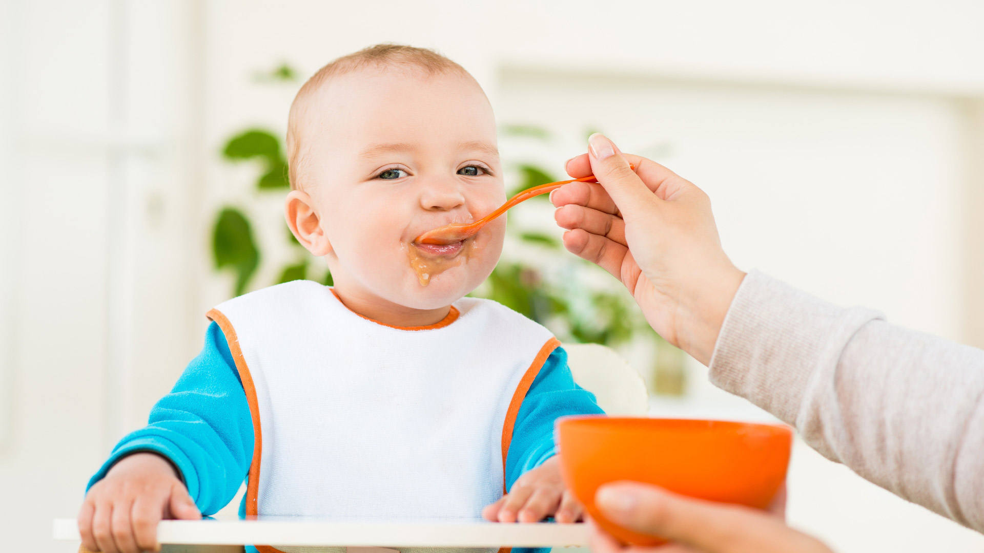 Introducción de alimentos